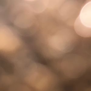 Meet your Posher, Alejandro